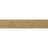 Mexen Jasperwood Almond glazed rectified stoneware sample G1, wood-like floor-wall tile, matte - TL605-00-S