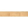 Mexen Jasperwood Beige glazed rectified porcelain tile sample G1, wood-like floor-wall tile, matte - TL605-01-S