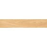 Mexen Jasperwood Beige glazed rectified porcelain tile sample G1, wood-like floor-wall tile, matte - TL605-01-S