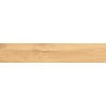 Mexen Jasperwood Beige glazed rectified porcelain tile sample G1, wood-like floor-wall tile, matte - TL605-01-S