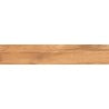 Mexen Jasperwood Nights glazed rectified porcelain tile sample G1, wood-like floor-wall tile, matte - TL605-03-S