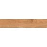 Mexen Jasperwood Nights glazed rectified porcelain tile sample G1, wood-like floor-wall tile, matte - TL605-03-S
