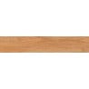 Mexen Jasperwood Nights glazed rectified porcelain tile sample G1, wood-like floor-wall tile, matte - TL605-03-S