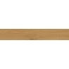 Mexen Lichi  Natural polished glazed rectified tile sample G1, wood-like floor-wall tile, matte - TL606-01-S