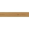 Mexen Lichi  Natural polished glazed rectified tile sample G1, wood-like floor-wall tile, matte - TL606-01-S