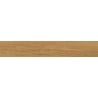 Mexen Lichi  Natural polished glazed rectified tile sample G1, wood-like floor-wall tile, matte - TL606-01-S