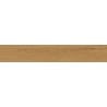 Mexen Lichi  Natural polished glazed rectified tile sample G1, wood-like floor-wall tile, matte - TL606-01-S