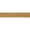 Mexen Lichi  Natural polished glazed rectified tile sample G1, wood-like floor-wall tile, matte - TL606-01-S
