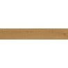 Mexen Lichi  Natural polished glazed rectified tile sample G1, wood-like floor-wall tile, matte - TL606-01-S