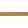 Mexen Lichi  Natural polished glazed rectified tile sample G1, wood-like floor-wall tile, matte - TL606-01-S