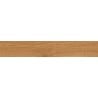Mexen Lichi  Pine glazed rectified gres sample. G1, wood-like floor-wall tile, matte - TL606-03-S