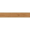 Mexen Lichi  Pine glazed rectified gres sample. G1, wood-like floor-wall tile, matte - TL606-03-S