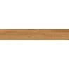 Mexen Lichi  Pine glazed rectified gres sample. G1, wood-like floor-wall tile, matte - TL606-03-S