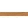 Mexen Lichi  Pine glazed rectified gres sample. G1, wood-like floor-wall tile, matte - TL606-03-S