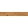 Mexen Lichi  Pine glazed rectified gres sample. G1, wood-like floor-wall tile, matte - TL606-03-S