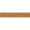 Mexen Lichi  Pine glazed rectified gres sample. G1, wood-like floor-wall tile, matte - TL606-03-S