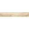 Mexen Lumiere Sample of Glazed Rectified Porcelain Tile G1, Wood-like Floor and Wall Tile, Matte - TL608-00-S