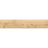 Mexen Lumiere Oak glazed rectified stoneware sample G1, wood-like floor-wall tile, matte - TL608-03-S