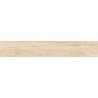 Mexen Meranti Ivory sample of rectified glazed stoneware tile, wood-like floor-wall, matt - TL609-00-S