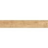 Mexen Meranti Beige sample of rectified glazed gres, wood-like floor-wall tile, matte - TL609-01-S