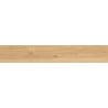 Mexen Meranti Beige sample of rectified glazed gres, wood-like floor-wall tile, matte - TL609-01-S