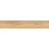 Mexen Meranti Beige sample of rectified glazed gres, wood-like floor-wall tile, matte - TL609-01-S