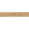 Mexen Meranti Honey glazed rectified porcelain stoneware sample G1, wood-like floor-wall tile, matte - TL609-05-S