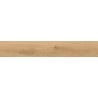 Mexen Meranti Honey glazed rectified porcelain stoneware sample G1, wood-like floor-wall tile, matte - TL609-05-S