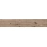 Mexen Cristopher Brown glazed rectified gres sample G1, wood-like floor-wall tile, carving - TL612-01-S