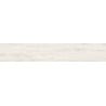 Mexen Wood Ville Bianco sample of glazed rectified porcelain tile G1, wood-like floor-wall tile, carving - TL613-01-S