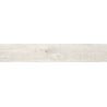 Mexen Wood Ville Bianco sample of glazed rectified porcelain tile G1, wood-like floor-wall tile, carving - TL613-01-S