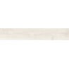 Mexen Wood Ville Bianco sample of glazed rectified porcelain tile G1, wood-like floor-wall tile, carving - TL613-01-S