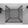 Mexen Exo-B Duo 3S 3-Sided Hinged Shower Enclosure 80 x 80 cm, Transparent, Black - 814-080-080-70-00-3S