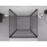 Mexen Exo-3S 3-sided shower enclosure with hinged door 80 x 80 cm, transparent, black - 817-080-080-70-00-3S