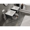 Mexen Orio bathroom cabinet 50 cm with Otis washbasin, 1 drawer, matte graphite/white matte - 91A10-05023-1-BF66-W18M01