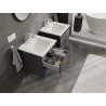 Mexen Orio bathroom cabinet 50 cm with sink Otis, 2 drawers, graphite matte/white matte - 91A10-05047-2-BFF66-W18M01
