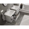 Mexen Orio bathroom cabinet 60 cm with Otis sink, 2 drawers, grey matt/white matt - 91A10-06047-2-BFF62-W18M01
