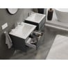 Mexen Orio bathroom cabinet 60 cm with Otis washbasin, 2 drawers, graphite matte/white matte - 91A10-06047-2-BFF66-W18M01