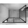 Mexen Linea sliding shower enclosure 110 x 100 cm, transparent, black - 8E1-110-100-70-70