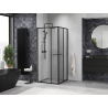 Mexen Linea sliding shower cabin 95 x 95 cm, transparent, black - 8E1-095-095-70-70