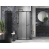Mexen Linea sliding shower door 80 cm, transparent, black - 8E1-080-000-70-70