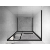 Mexen Linea sliding shower doors 100 cm, transparent, black - 8E1-100-000-70-70