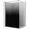 Mexen Kioto Walk-in Shower Screen 80 x 200 cm, Black Ombre 8 mm, Brushed Gun Gray - 800-080-101-66-76