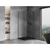 Mexen Mist-H T right-hinged shower cabin 100 x 100 cm, transparent, gun gray brushed - 8A5T-100-100-66-00-P