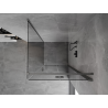 Mexen Mist-F folding shower cabin right 110 x 110 cm, transparent, brushed gun gray - 8A6T-110-110-66-00-P