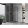 Mexen Mist asymmetric hinged pentagonal shower cabin 80 x 100 cm, transparent, gun metal - 8A8-080-100-95-00