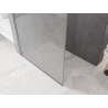 Mexen Kioto Walk-in Shower Screen 100 x 200 cm, Crackle Transparent 12 mm, Brushed Nickel - 800-100-101-97-04-X