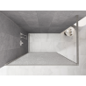 Mexen Kioto Walk-in Shower Screen 100 x 200 cm, Crackle Transparent 12 mm, Brushed Nickel - 800-100-101-97-04-X