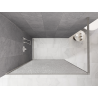 Mexen Kioto Walk-in Shower Wall 120 x 200 cm, Crackle Transparent 12 mm, Brushed Nickel - 800-120-101-97-04-X