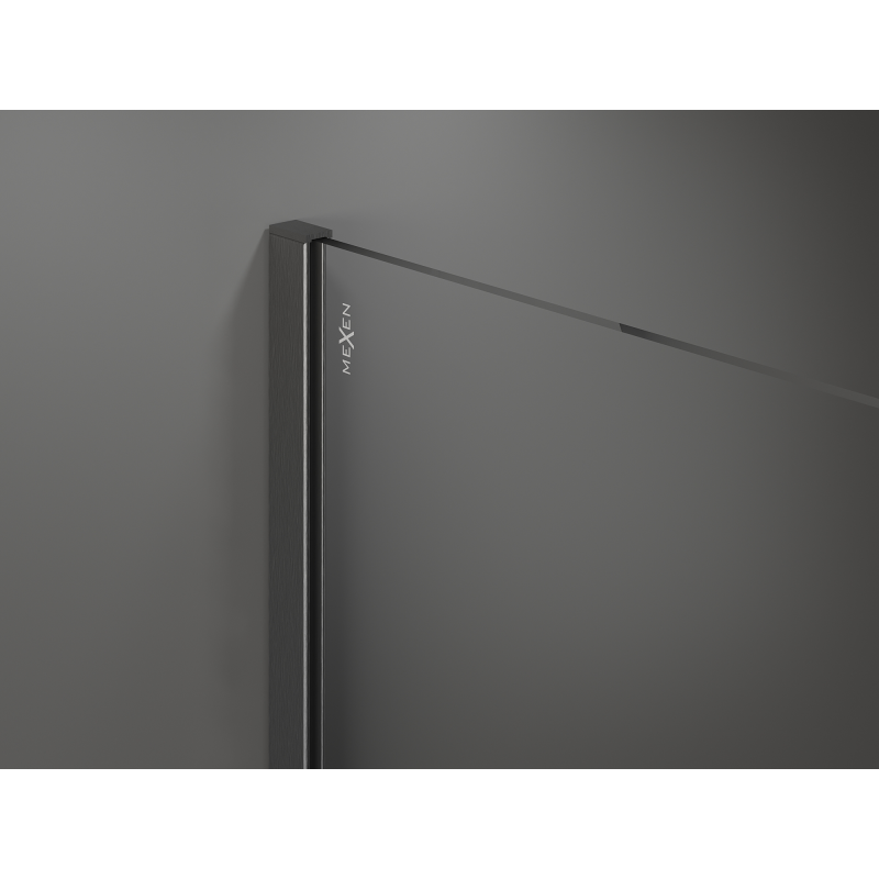 Mexen Kioto Walk-in Shower Wall 120 x 200 cm, Bronze 8 mm, Brushed Gun Gray - 800-120-101-66-32